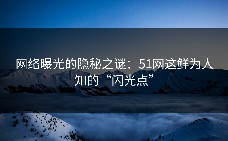 网络曝光的隐秘之谜：51网这鲜为人知的“闪光点”